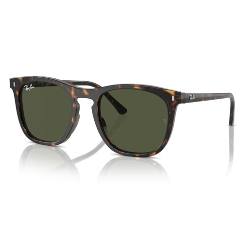 RAY BAN RB2210 902/31
